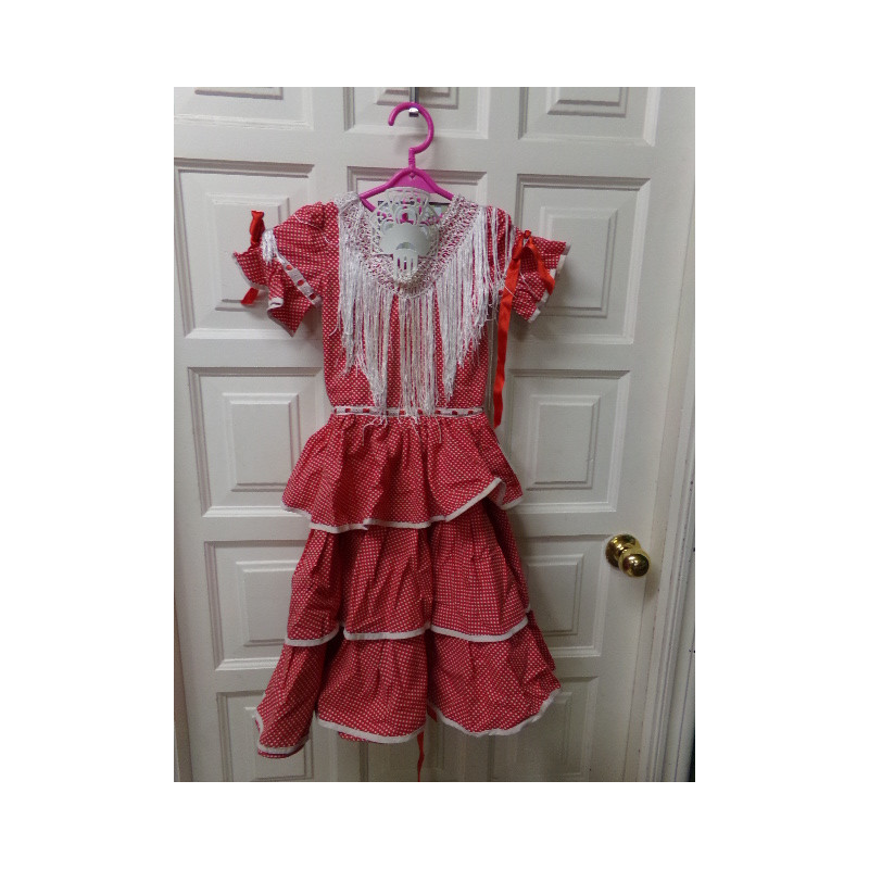 Disfraz Sevillana con peinetas talla 8-10 años. Segunda mano