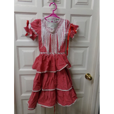 Disfraz Sevillana con peinetas talla 8-10 años. Segunda mano