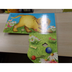 LIBRO ESCONDITE SORPRESA