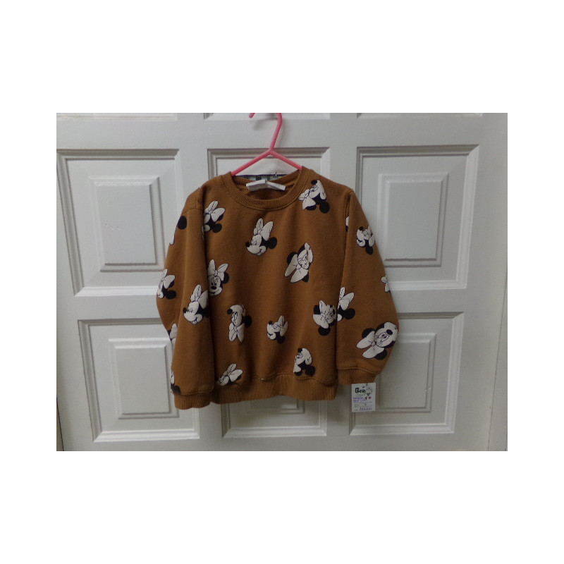 Sudadera Zara talla 4-5 años. Segunda mano