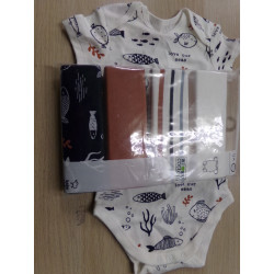 Pack 5 bodys Baby club 6-12 meses. A estrenar.