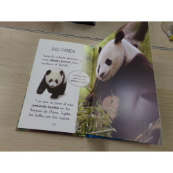 Libro empiezo a leer con Susaeta. El mundo de los osos. Segunda mano.