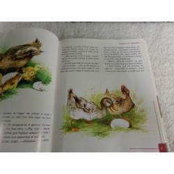 Cuentos Andersen Grimm Perrault. Segunda mnano