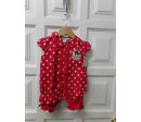 Conjunto Minnie talla 12-18 meses. Segunda mano