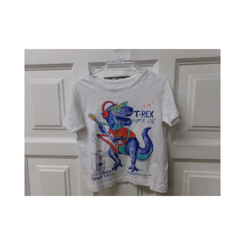 Camiseta Dinosaurio talla 2 años. Segunda mano