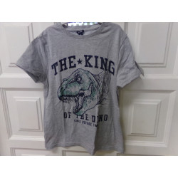 Camiseta dinosaurio talla 10 años. Segunda mano
