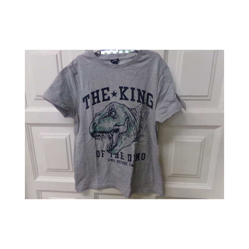 Camiseta dinosaurio talla 10 años. Segunda mano