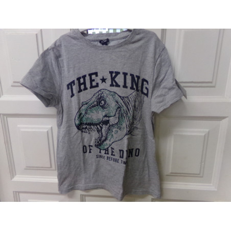 Camiseta dinosaurio talla 10 años. Segunda mano