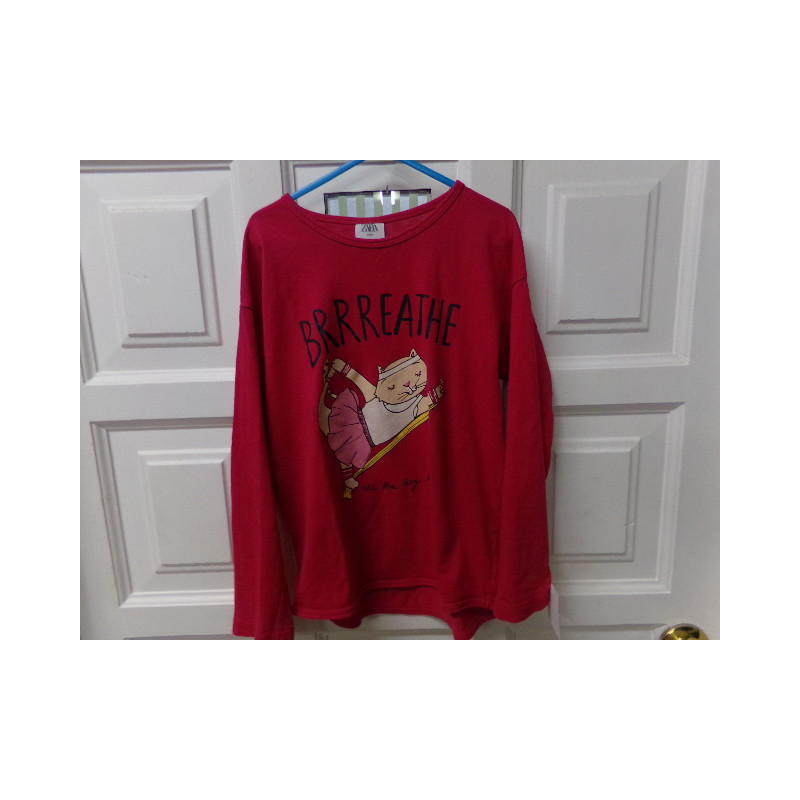 Camiseta Zara talla 9 años. Segunda mano