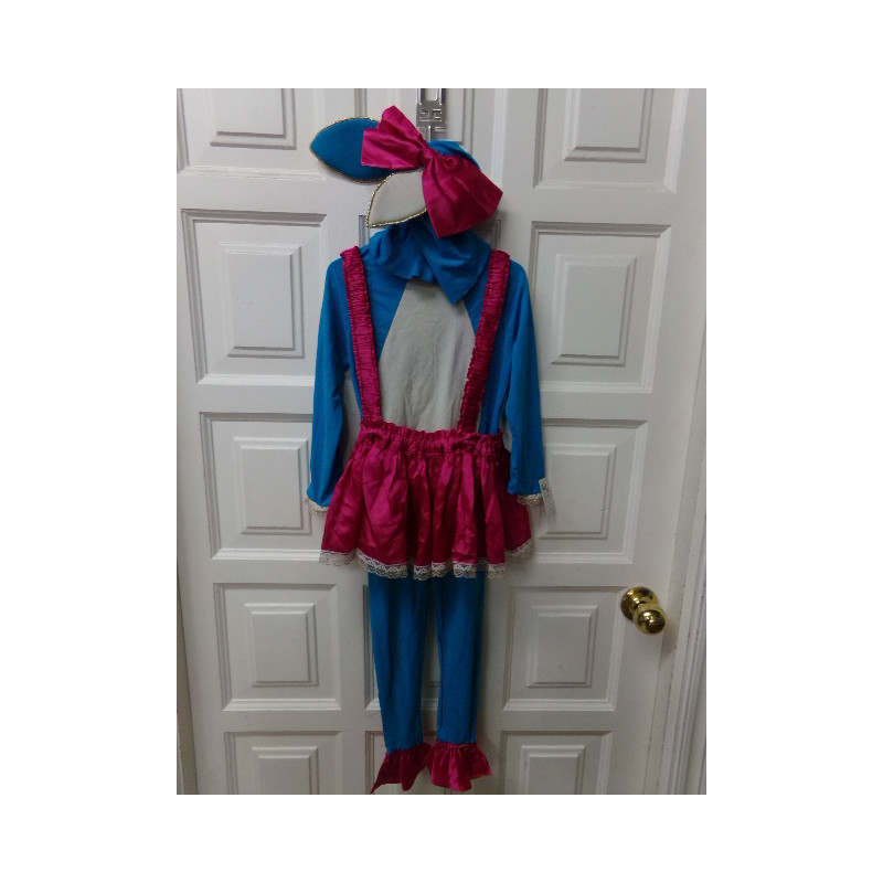 Disfraz ratita talla 5 años. Segunda mano