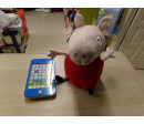 Peppa Pig interactivo peluche y tablet. Segunda mano